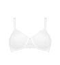My Perfect Shaper WP WHITE E