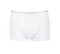 sloggi men Basic Short WHITE