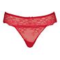 Lingadore daily string rood